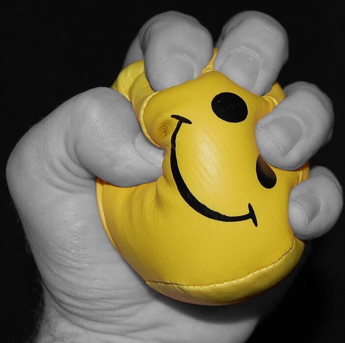 SME Stress Test - SME advice