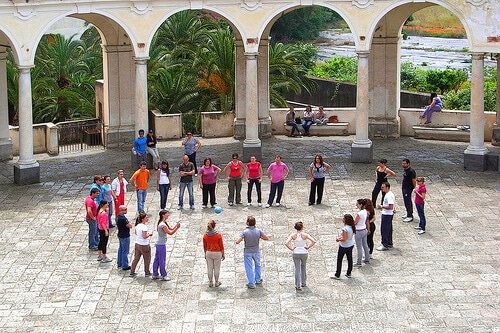 transformation project traps image