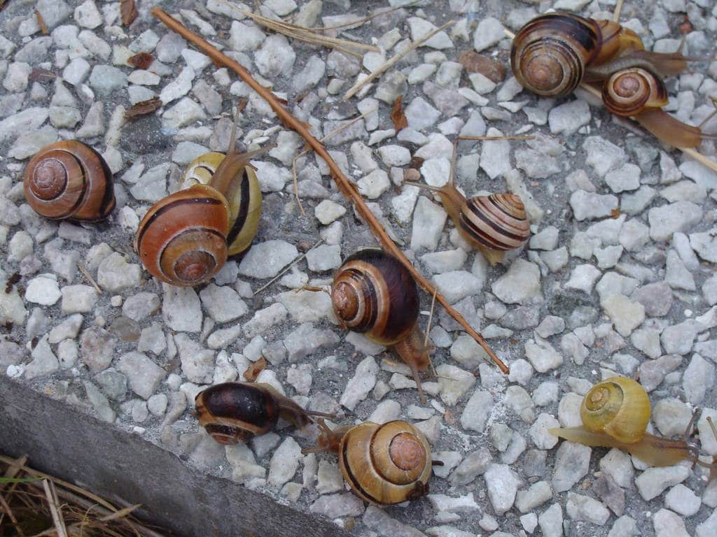 proactive accountants image