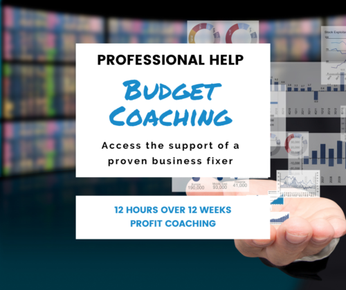 Budget Coaching- Budget advice, Budget help, Budget support, Budget consulting